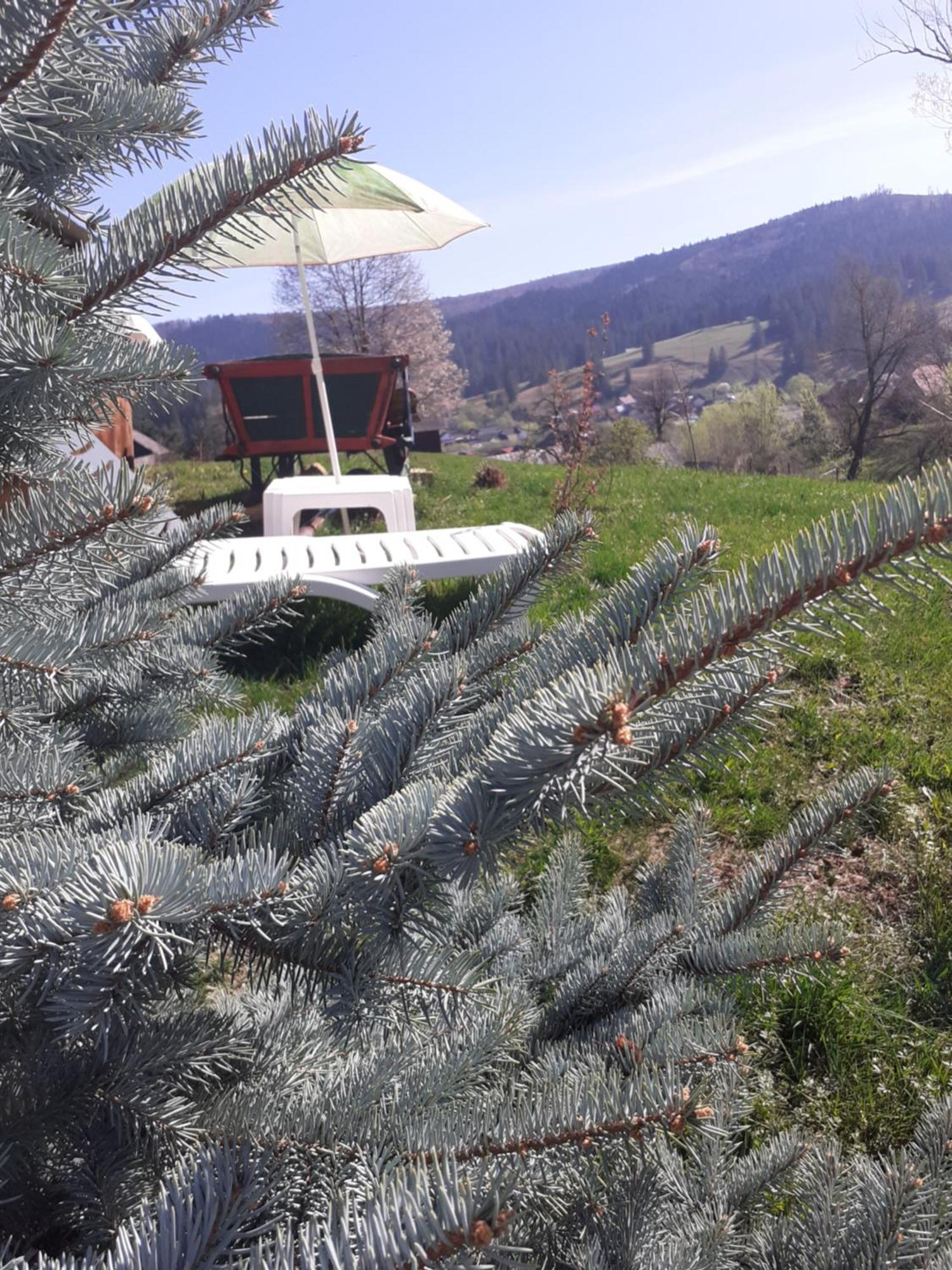 Agroturismo Agroturism Bori Punct Gastronomic Local
