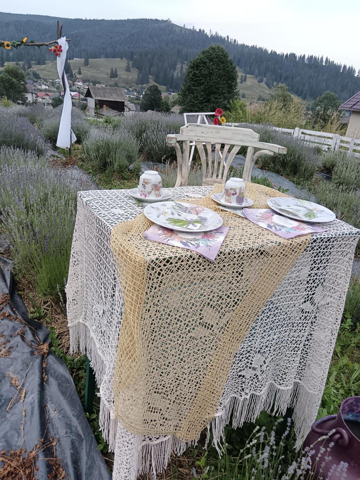 Farm stay Agroturism Bori Punct Gastronomic Local