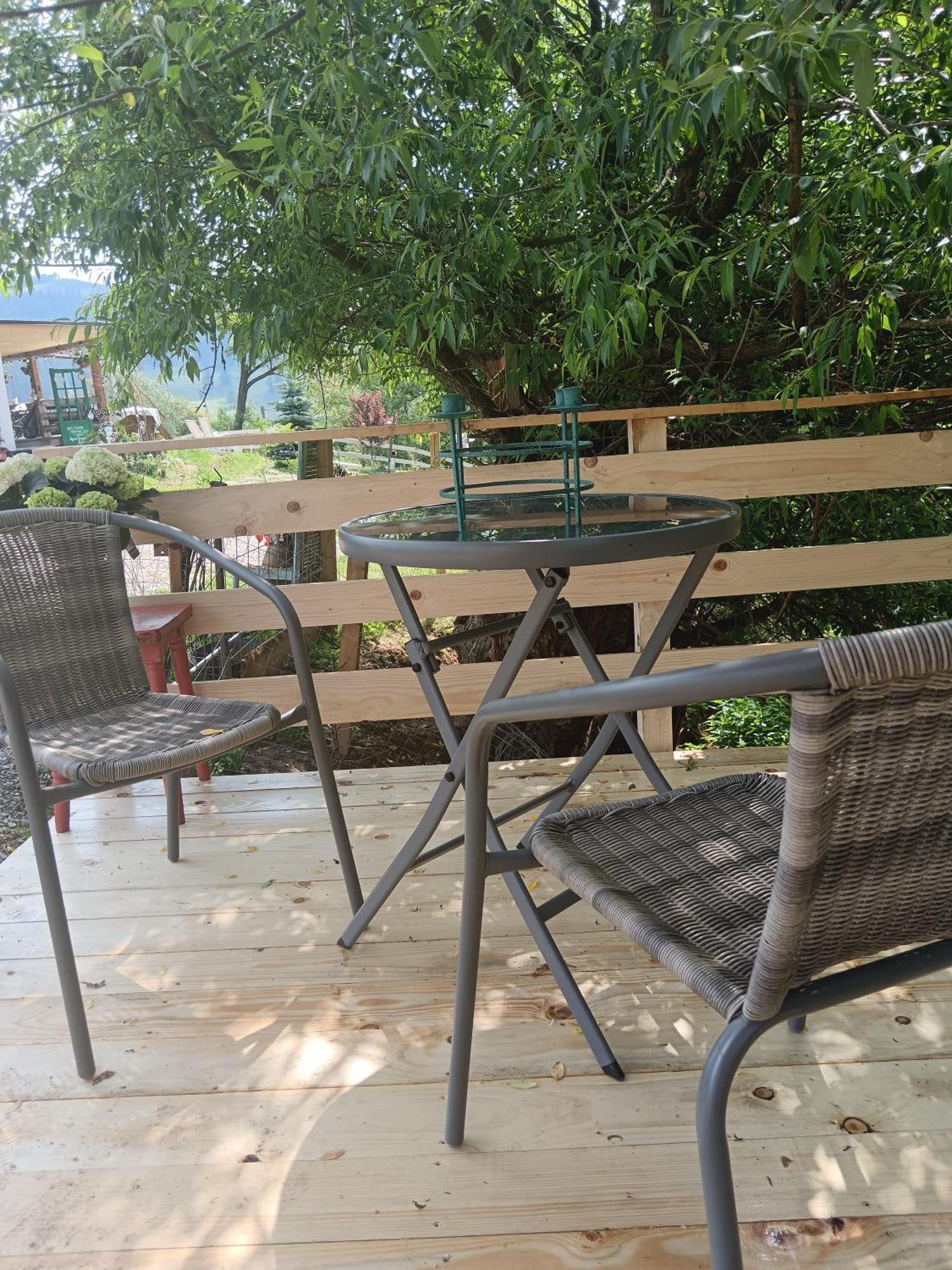 Agroturism Bori Punct Gastronomic Local Farm stay *